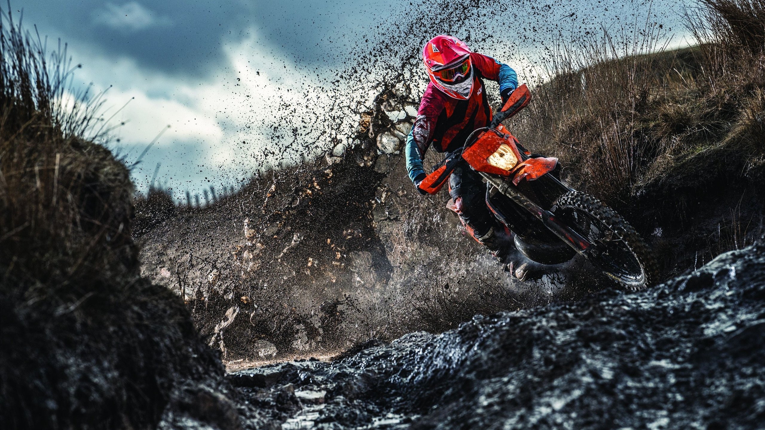 全国跳水冠军赛跳板项目竞争激烈，全国跳水选拔赛