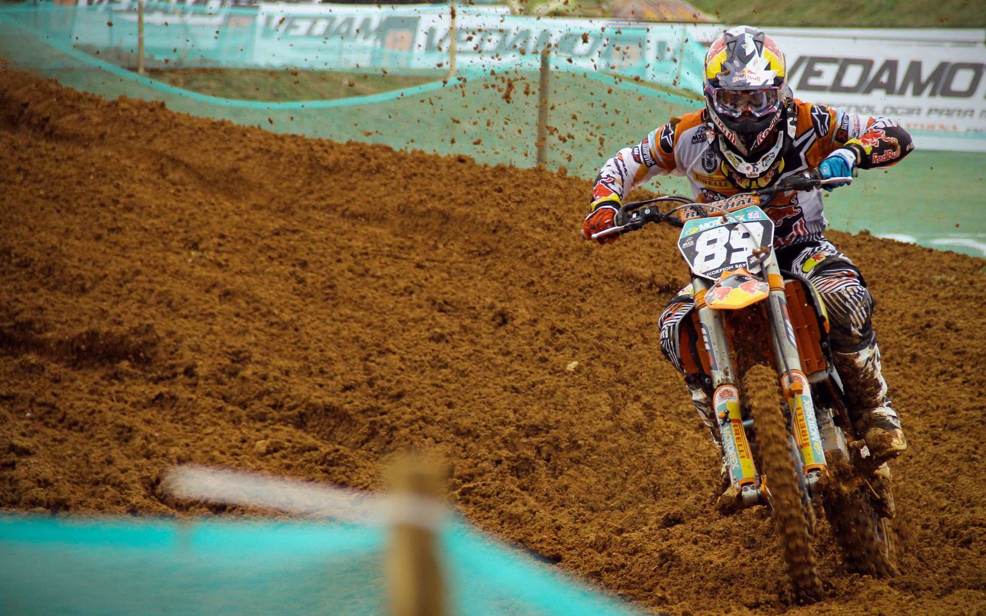 澳大利亚袋鼠队挑战强敌，能否重返橄榄球之巅？，在澳大利亚人眼里,袋鼠军团就是这样一支队伍